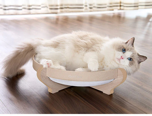 ねこ様が喜ぶ!おしゃれねこグッズ【8月8日は世界猫の日】