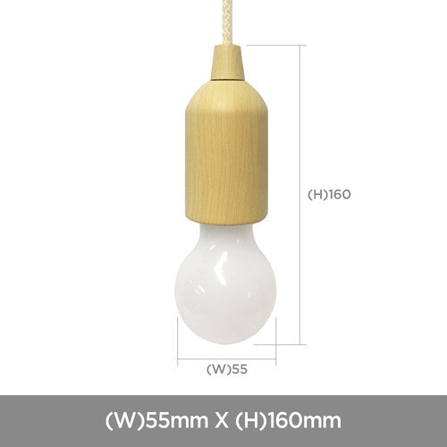 roomnhome ルームアンドホーム プーリング LEDランプ ランプ シェード 電気 釣り下げ式 おしゃれ 韓国 LED 照明 明かり(代引不可)