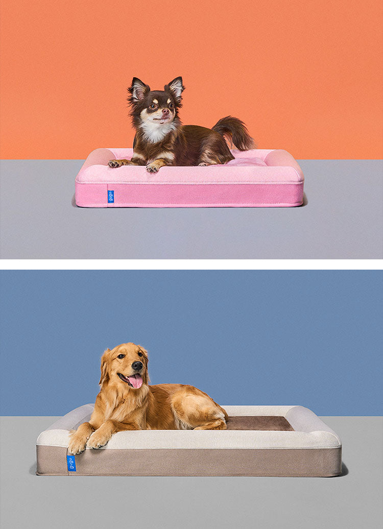 ペットベッド 犬 ベッド 小型犬 老犬 成犬 子犬 パピー シニア 洗える ペットソファ 2way 高反発 ウレタン ドギーベット 高級 イヌ 犬用ベッド 猫 猫用ベッド 耐久性 クッション 冬 あったか gugu sleep グーグー グーグースリープ(代引不可)