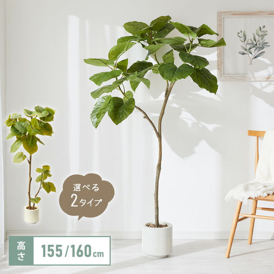 人工観葉植物 ウンベラータ フェイクグリーン 大型 155cm 160cm フィカス 植物 おしゃれ ナチュラル シンプル フェイク 造花 リアル 観葉植物 リビング インテリア 玄関 室内 ギフト お祝いプレゼント