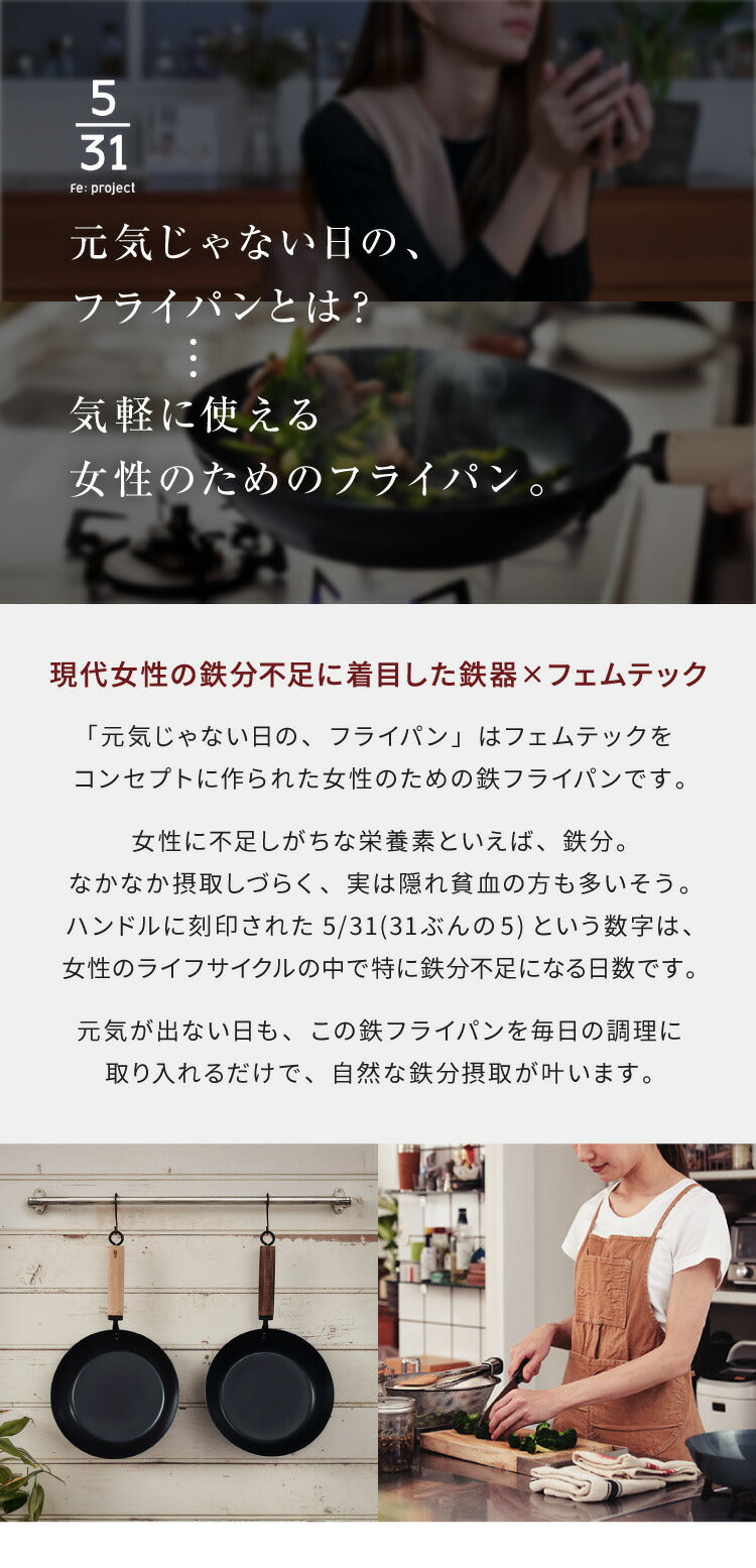 藤田金属 元気じゃない日のフライパン 鉄フライパン 26cm IH対応 日本製 PFOAフリー フッ素不使用 フライパン ガス火 軽い 油ならし シーズニング不要 鉄分補給 木柄 握りやすい フェムテック