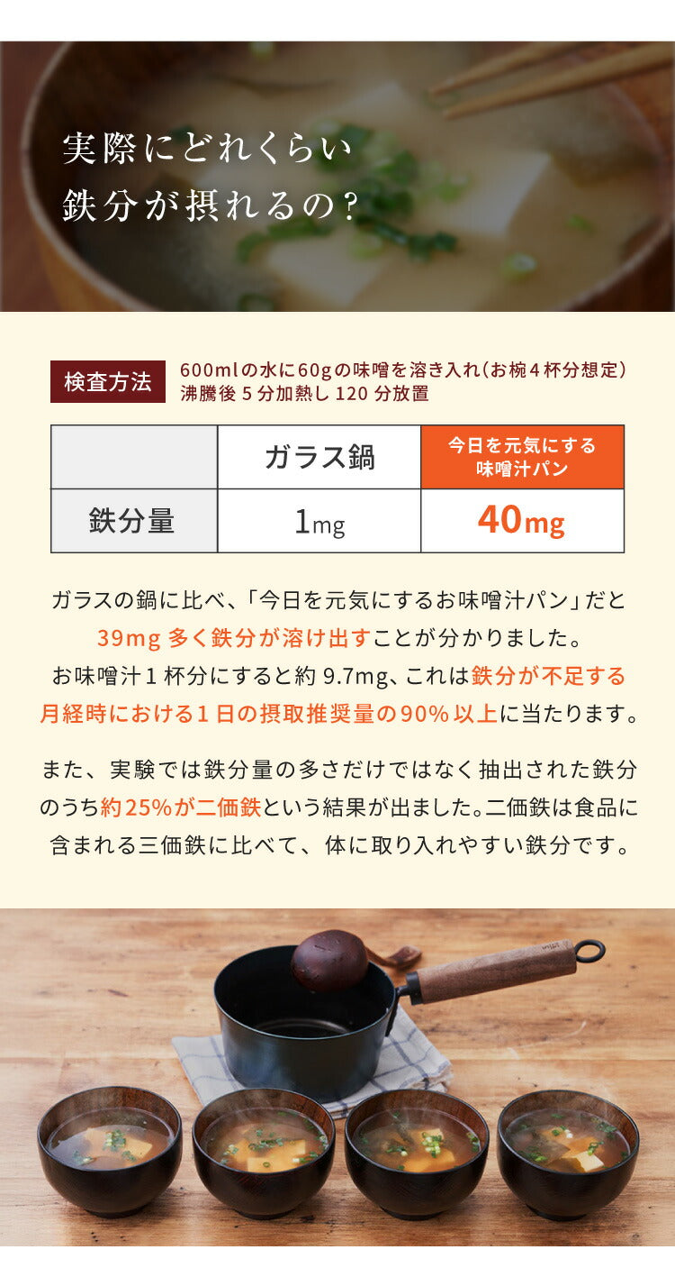 藤田金属 今日を元気にするお味噌汁パン 鉄鍋 片手鍋 16cm IH対応 日本製 PFOAフリー フッ素不使用 鍋 ガス火 軽い 油ならし不要 シーズニング不要 鉄分補給 木柄 六角 握りやすい フェムテック