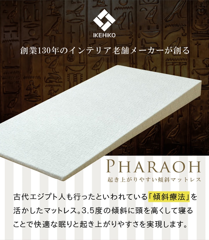 傾斜 マットレス 逆流性食道炎 寝具 収納 便利 起き上がる 楽 高反発 シングル 97×195cm 寝具 機能性 シングル 傾斜療法 斜め ファラオ(代引不可)