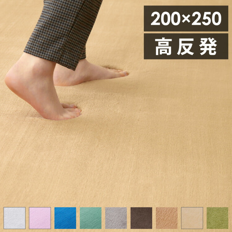 防音ラグ 高反発ラグ 極厚25mm 200×250 フランネル 撥水 防音 滑り止め付 マイクロファイバー オールシーズン ラグ ラグマット 長方形 マット カーペット ラグカーペット