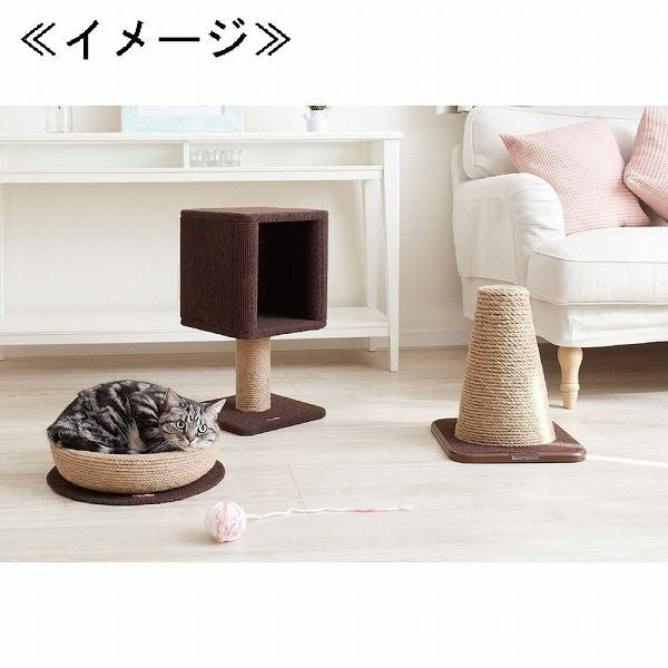 ドギーマンハヤシ モダンルーム ナチュラルにゃベッド