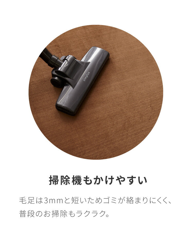 低反発 ラグ 極厚低反発ラグ 200×200cm 低反発ラグマット 洗える 厚さ20mm 撥水 滑り止め付 ホットカーペット対応 抗菌 防ダニ 防臭 長方形 無地 高密度250g/平方メートル ノンホルムアルデヒド