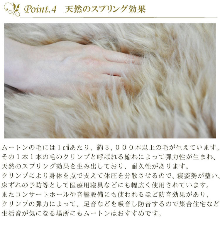 ムートンシートクッション 短毛タイプ 40×40cm 大判サイズ 毛皮 ムートンクッション おしゃれ かわいい モダン シック 北欧風 韓国インテリア 淡い 掠れ(代引不可)