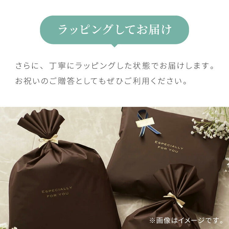 THE 液だれしない 醤油差し 80ml 日本製 紙箱入り 鮮度 調味料ポット オイル ビネガー 透明 ガラス 硝子 クリスタル クリスタルガラス おしゃれ レトロ シンプル 卓上調味料 卓上小物 中川政七商店 ザ