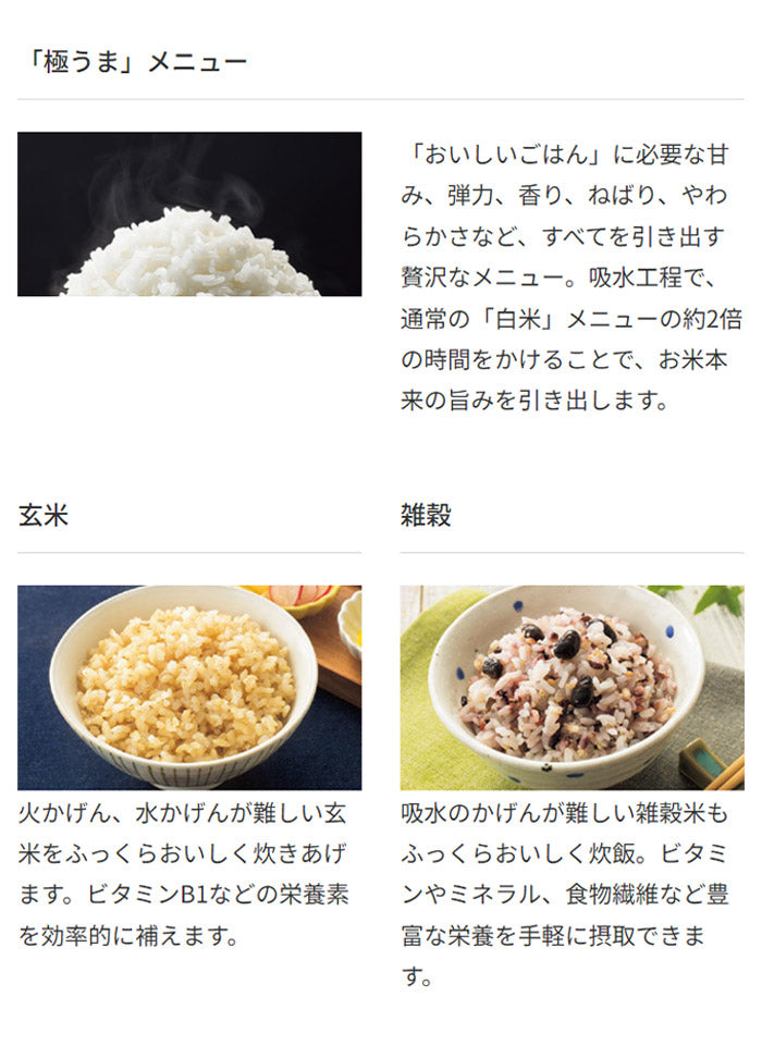 タイガー IHジャー炊飯器 メタリックグレー JPW-S100HM 炊飯器 炊飯ジャー キッチン家電 お米 ごはん 圧力 無洗米 炊き分け 一人暮らし プレゼント TIGER