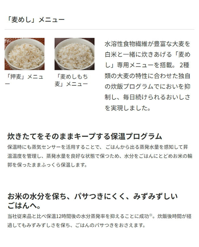 タイガー IHジャー炊飯器 メタリックグレー JPW-S100HM 炊飯器 炊飯ジャー キッチン家電 お米 ごはん 圧力 無洗米 炊き分け 一人暮らし プレゼント TIGER