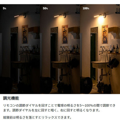 ブラケットマンクス ブラスカラー LED ブラケットライト ウォールライト 壁 照明 ライト 壁付 壁直付け コンセント 対応 スリム(代引不可)