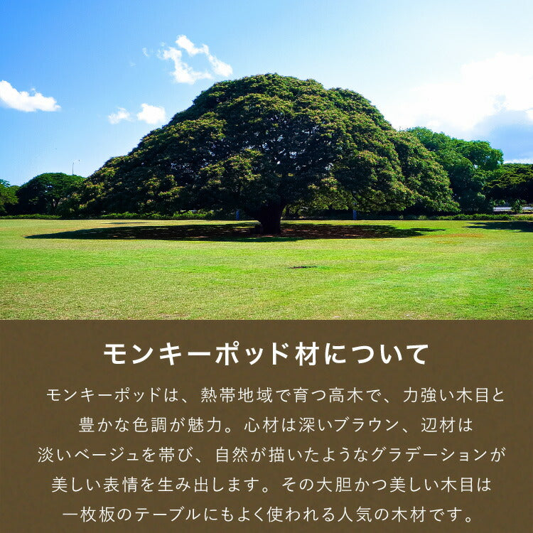キャビネット 幅80cm 高さ165cm シェルフ 棚 本棚 収納 リビング収納 モンキーポッド モンキーポッド材 天然木 木製 ミッドセンチュリー レトロ モダン 北欧 北欧モダン ヴィンテージ(代引不可)