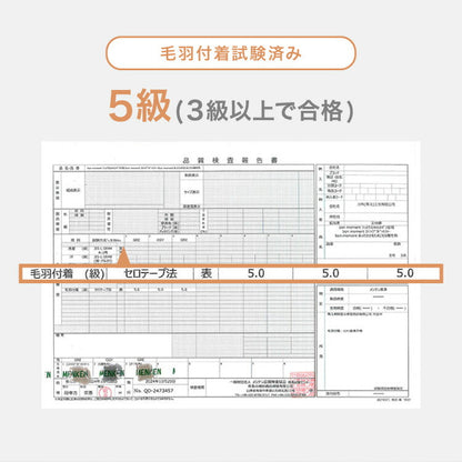 もこもこクッションソファー 1人用 コンパクト 幅65 もこもこ ふわふわ フロアクッション 韓国 インテリア ふわとろクッション カバーリング かわいい 洗える おしゃれ クッションソファ mocone