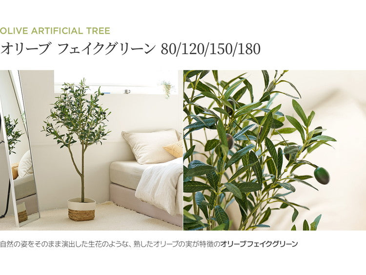 roommhome オリーブの木 150cm フェイクグリーン 人工観葉植物 造花 観葉樹 室内 観葉植物 オリーブ グリーン ルームアンド –  Branchée Beauté