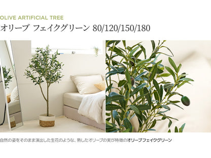 roommhome オリーブの木 150cm フェイクグリーン 人工観葉植物 造花 観葉樹 室内 観葉植物 オリーブ グリーン ルームアンドホーム(代引不可)