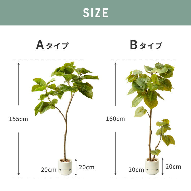 人工観葉植物 ウンベラータ 一本 フェイクグリーン 大型 ウンベラータ 155cm 160cm フィカス 植物 おしゃれ ナチュラル シンプ –  Branchée Beauté