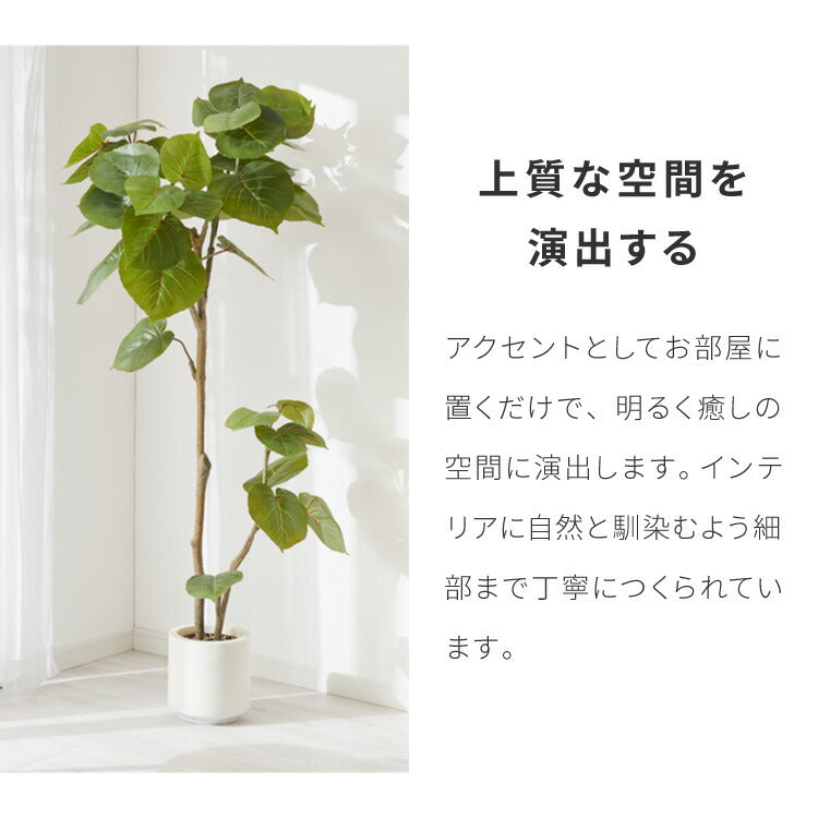 人工観葉植物 ウンベラータ フェイクグリーン 大型 155cm 160cm フィカス 植物 おしゃれ ナチュラル シンプル フェイク 造花 リアル  観葉植物 リビング インテリア 玄関 室内 ギフト お祝いプレゼント