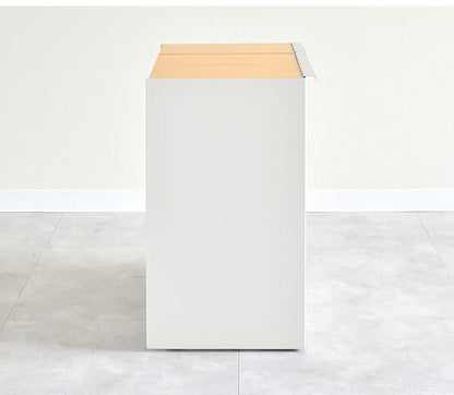 rootis 日本製 隠せるデザインゴミ箱 ダストボックス 15L×3分別 幅45cm 隠しキャスター 天然木 蓋付き スリム ダストボックス ゴミ箱 45リットル 45L おしゃれ(代引不可)