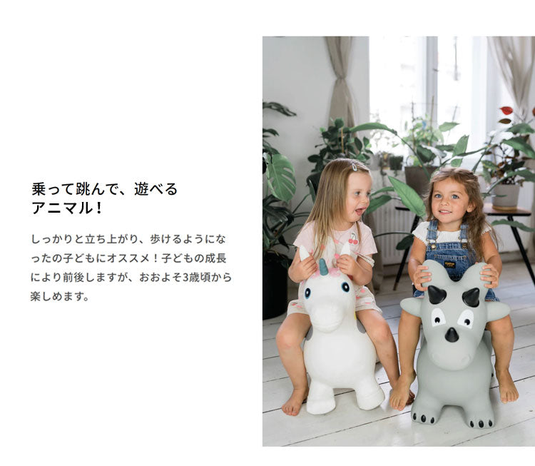 キンズグート KINDSGUT ホッピングアニマル バルーントイ 乗用玩具 おもちゃ 屋内 屋外 動物 男の子 女の子 子ども ギフト プレゼント 出産祝い イヌ KIN0000001013C04ZZZ