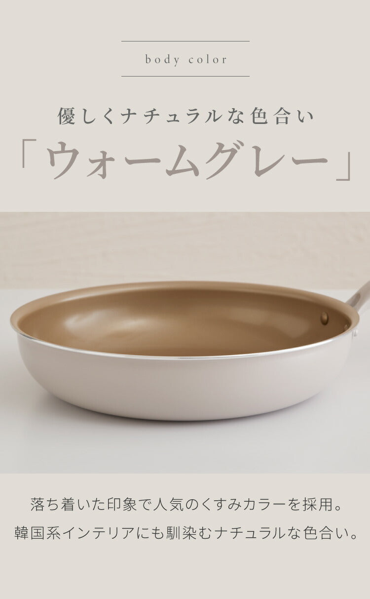 限定デザイン evercook エバークック ガス IH対応 フライパン 26cm ウォームグレー 500日保証