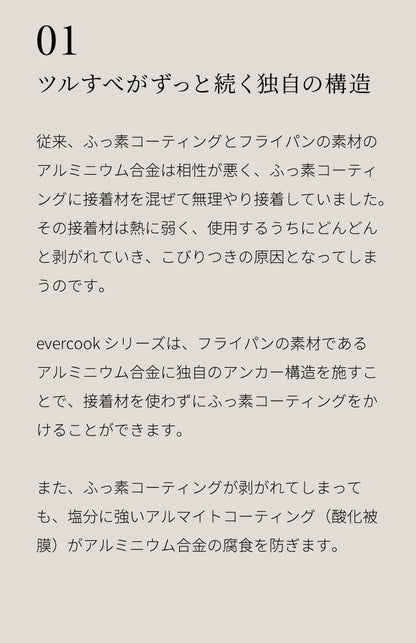 限定デザイン evercook エバークック ガス IH対応 フライパン 26cm ウォームグレー 500日保証