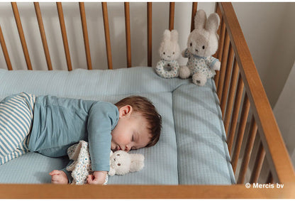 miffy LittleDutch ギフトボックス3点セット ぬいぐるみ ラトル ラッキーブロッサム ラッキーリーブス ギフト 赤ちゃん ミッフィー ベビー 0歳 かわいい おしゃれ セット リトルダッチ 出産祝い