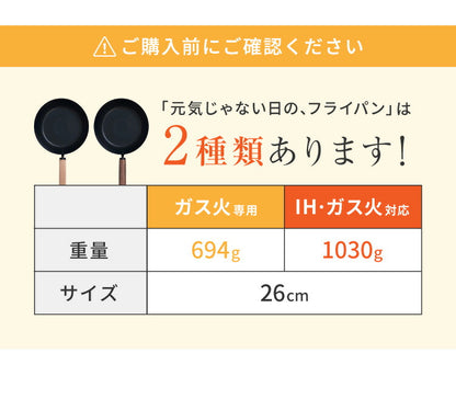 藤田金属 元気じゃない日のフライパン 鉄フライパン 26cm IH対応 日本製 PFOAフリー フッ素不使用 フライパン ガス火 軽い 油ならし シーズニング不要 鉄分補給 木柄 握りやすい フェムテック