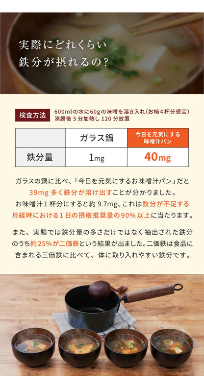 藤田金属 今日を元気にするお味噌汁パン 鉄鍋 片手鍋 16cm IH対応 日本製 PFOAフリー フッ素不使用 鍋 ガス火 軽い 油ならし不要 シーズニング不要 鉄分補給 木柄 六角 握りやすい フェムテック