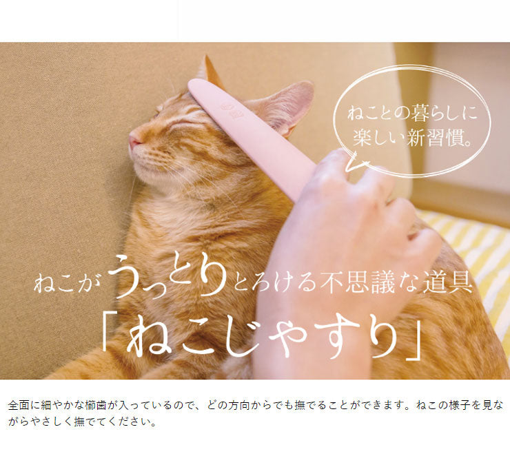 ワタオカ ねこじゃすり 国産 日本製 ブラシ ねこブラシ やすり 猫やすり コミュニケーションブラシ グルーミング ブラッシング  毛づくろい(代引不可)【メール便】