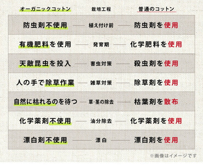 掛け布団 オーガニックコットン シングル 洗える グレー ウォッシャブル コットン キルトケット 掛ふとん 肌掛け布団 掛布団 布団