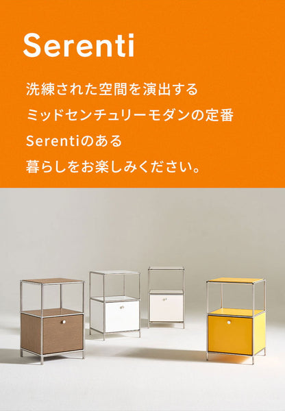 ステンレス モジュールキャビネット 40cm 2段 完成品 オールステンレス ミッドセンチュリー モジュール家具 モジュール棚 収納ラック 壁面 収納 キャビネット 韓国インテリア アルスルイ